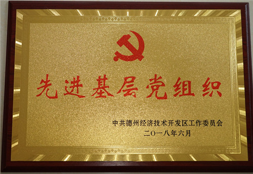 集团党委获“先进基层党组织”荣誉称号